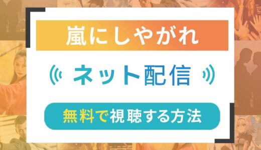 嵐にしやがれのネット配信状況一覧【無料で視聴可！】